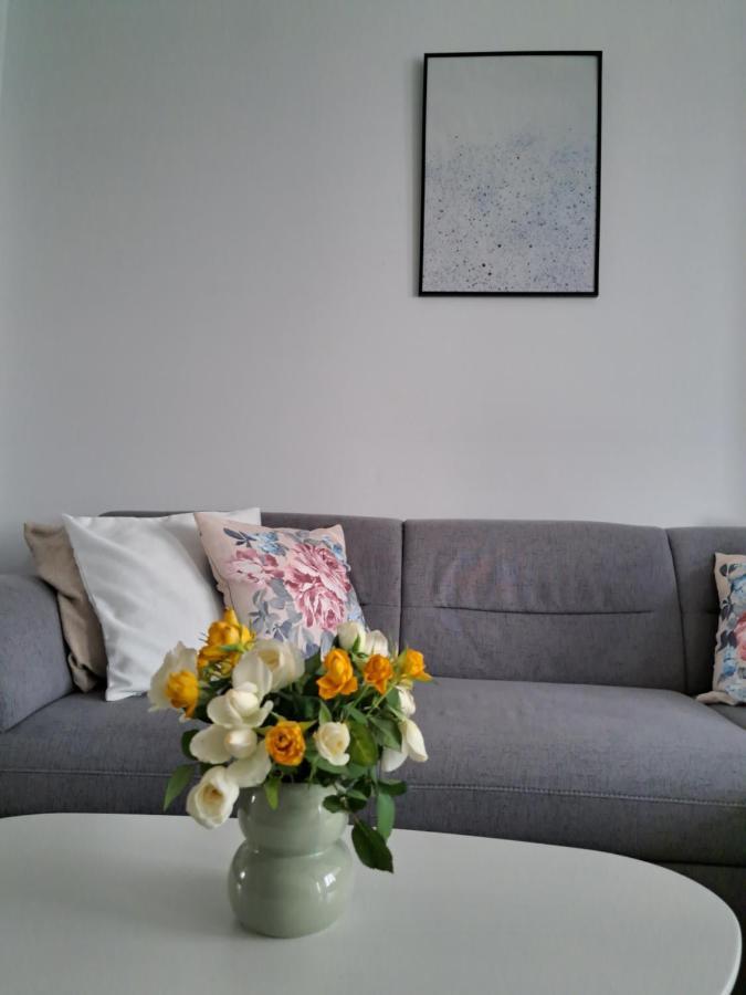 Appartement Apartament Onestilor à Oradea Extérieur photo